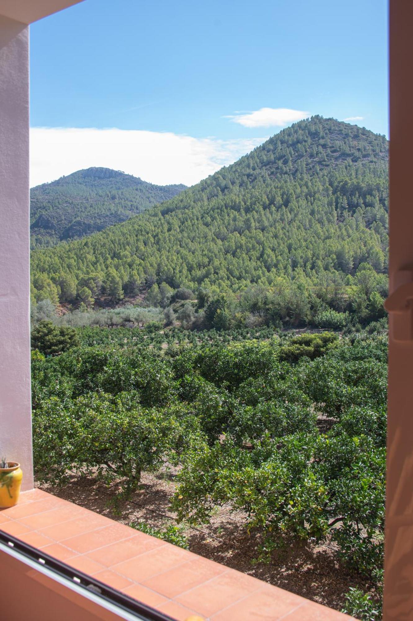 L'Almassera - Chimenea Y Montana Para Grupos En Aielo De Rugat Ayelo de Rugat Exteriér fotografie